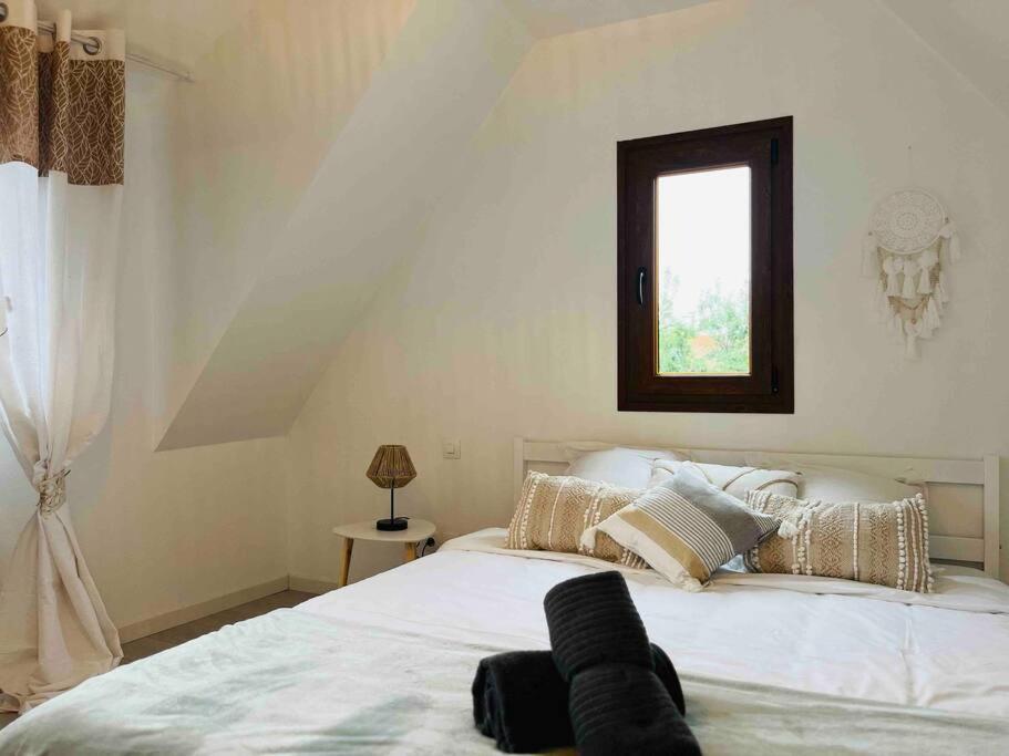 S'Hiesele Petite Maison Alsacienne Typique Ittenheim Εξωτερικό φωτογραφία