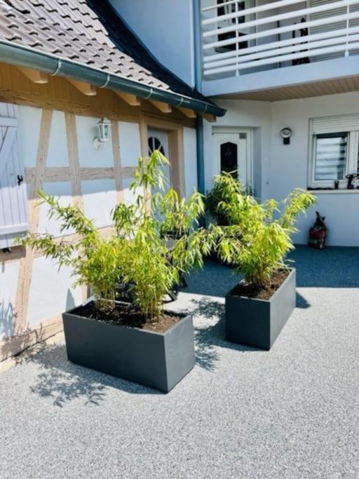 S'Hiesele Petite Maison Alsacienne Typique Ittenheim Εξωτερικό φωτογραφία
